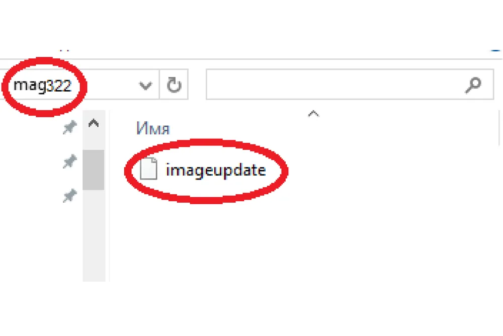 How to update MAG